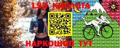 альфа пвп Аргун