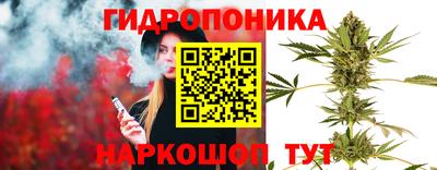 альфа пвп Аргун