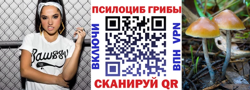 МЕГА вход  хочу   Асино  Галлюциногенные грибы GOLDEN TEACHER 