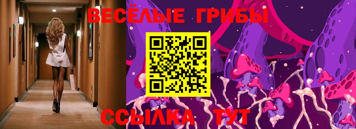 Псилоцибиновые грибы Cubensis  Вход с VPN  Асино 