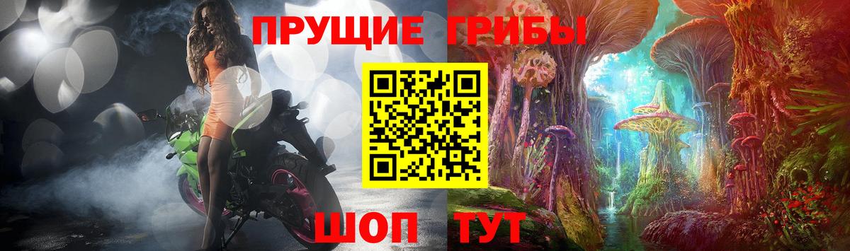 Галлюциногенные грибы прущие грибы Асино